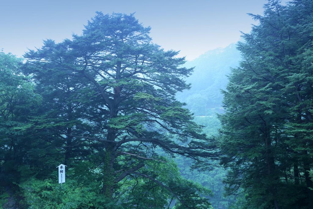 فندق Tsuganoki نيكو المظهر الخارجي الصورة
