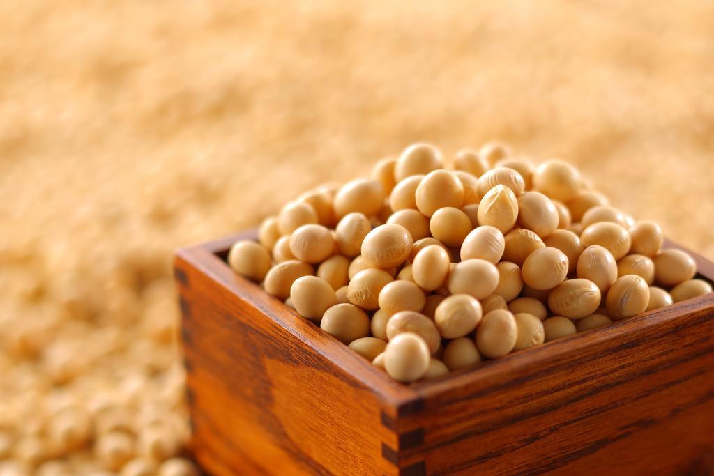 فندق Tsuganoki نيكو المظهر الخارجي الصورة